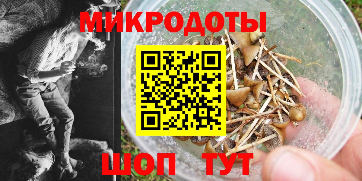 Псилоцибиновые грибы Psilocybe  Вход с VPN  Нефтеюганск  Псилоцибиновые грибы прущие грибы 